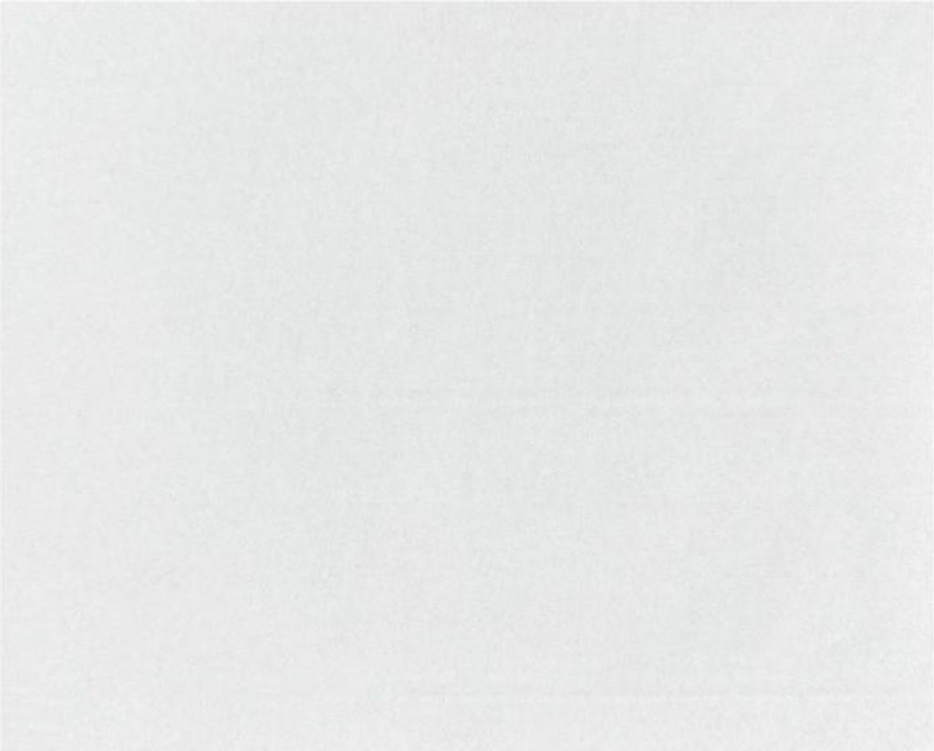 Fiesta kompostierbare Burgerverpackungen Weiß - 250x200 (200 Stück)