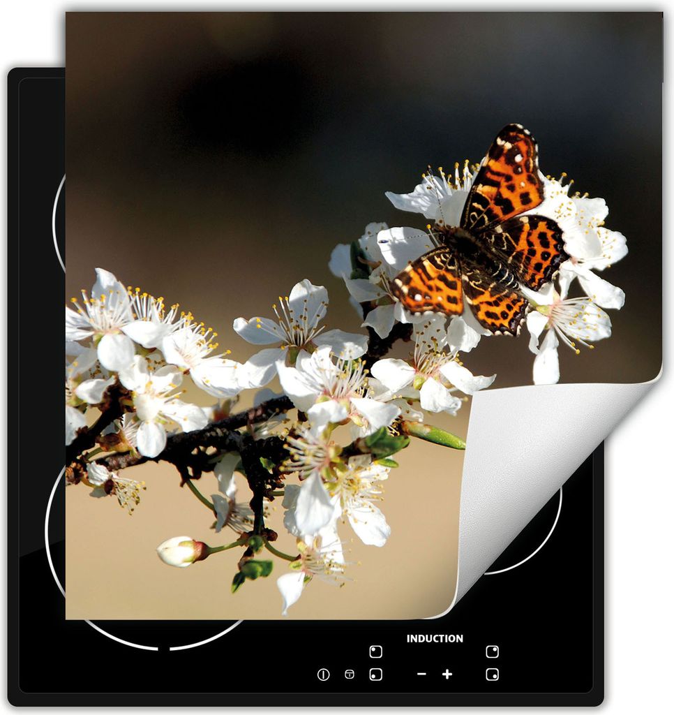 DarHaus Herdabdeckplatte 60x52 cm Anti Rutsch Matte Aufrollbar, Schmetterling - Blume