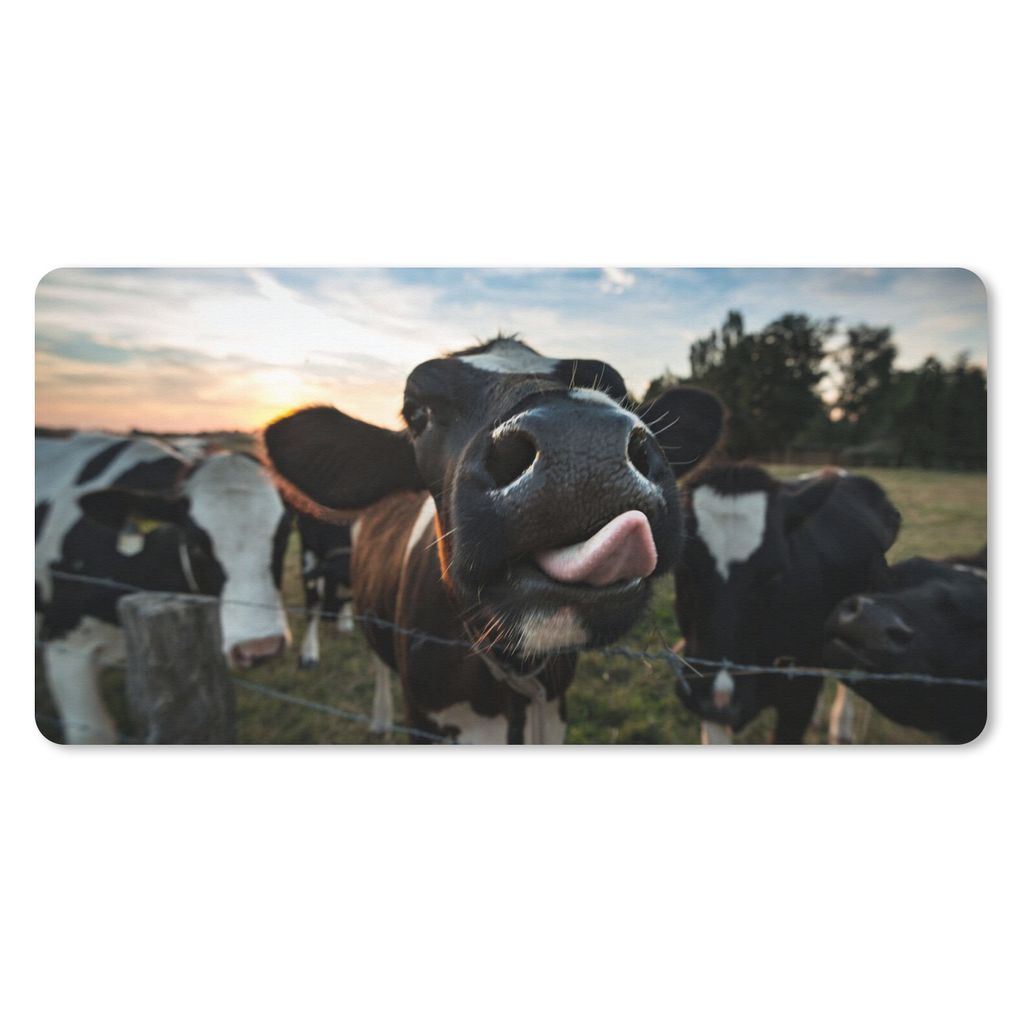 MuchoWow Schreibtischunterlage Kuh - Tiere - Natur - Ausgezeichnete Zunge 80x40 cm - XXL Mauspad - Gaming Mauspad
