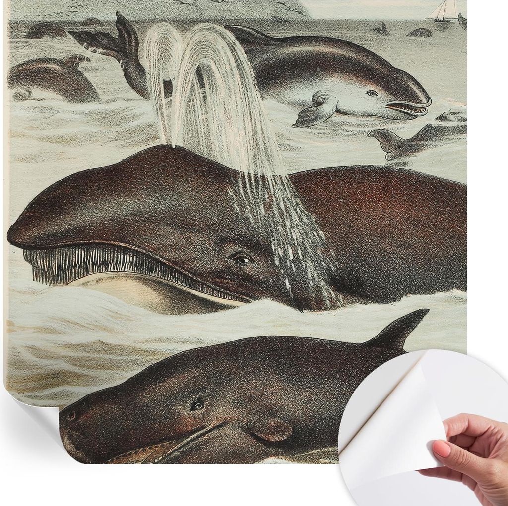 Selbstklebende Wandtapete - Dekorative Tapete für Wohnzimmer - Klebefolie für Wandbilder - Tapetenfolie für Wanddekoration - 250x250 cm - Meeres...