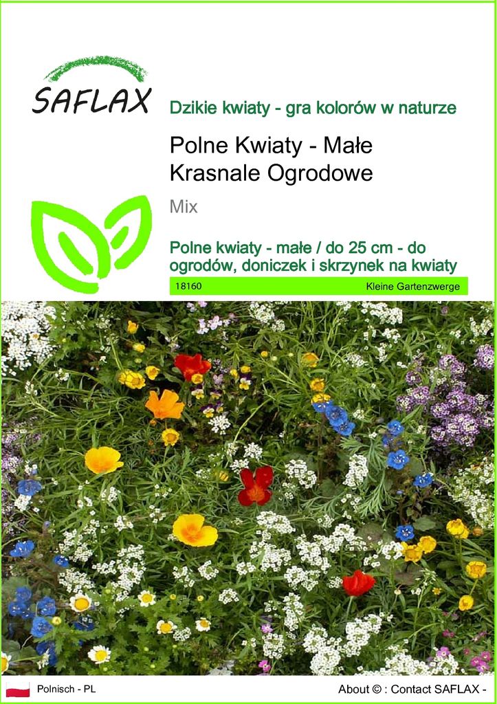 SAFLAX - Polne Kwiaty - Małe Krasnale Ogrodowe - 1000 Zdjęcie produktu 