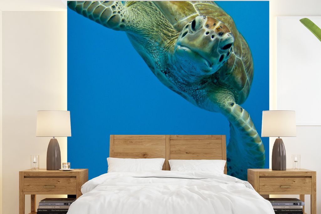 MuchoWow Fototapete für Wohnzimmer oder Schlafzimmer Wandtapete Vinyl Motivtapete Fotodruck Augenkontakt mit Schildkröte - 240x260 cm - Tapezie...
