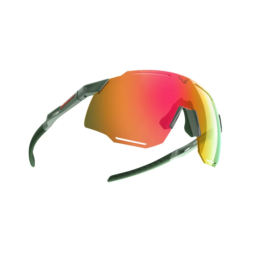 Alpine Evo Lunettes de soleil Dynafit 5290-sage Unisexe Catégorie 3