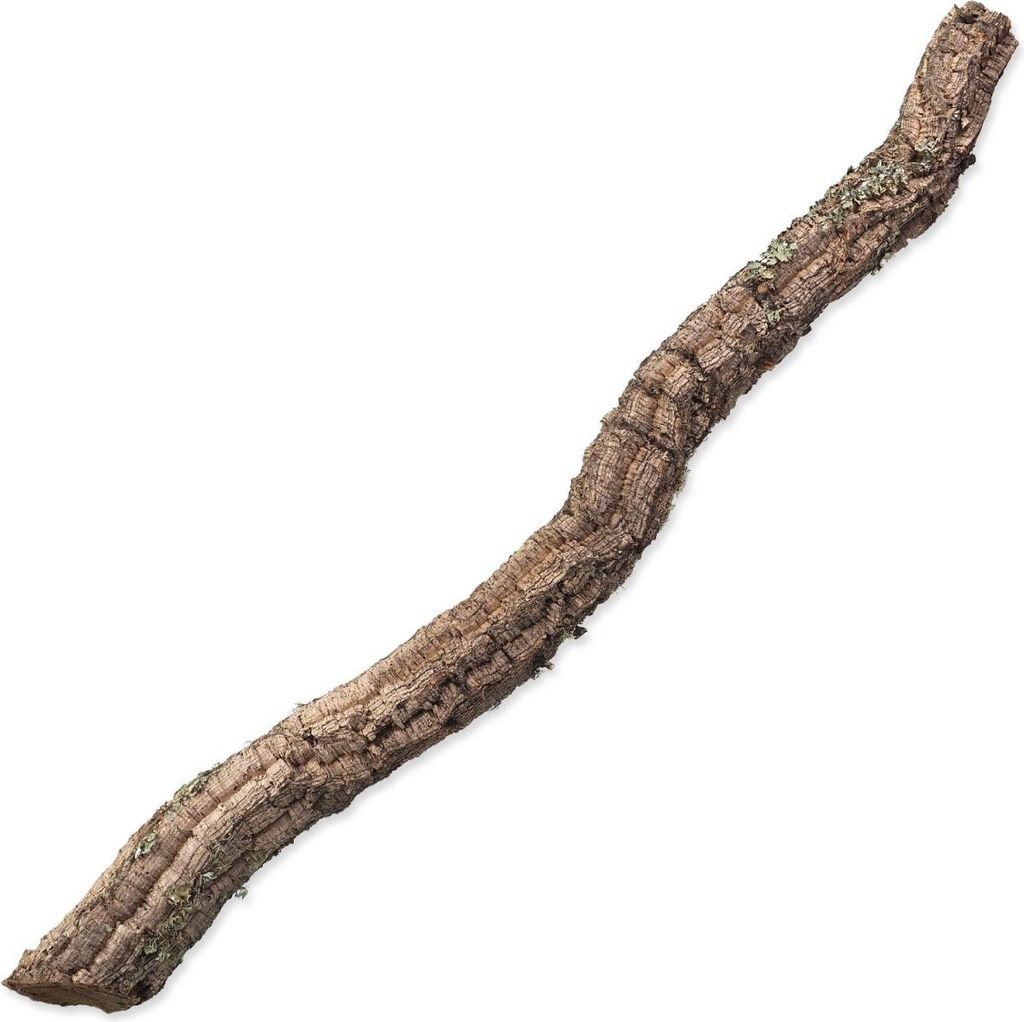 Dekoration Repti Planet Kork Zweig XL 90cm-120cm