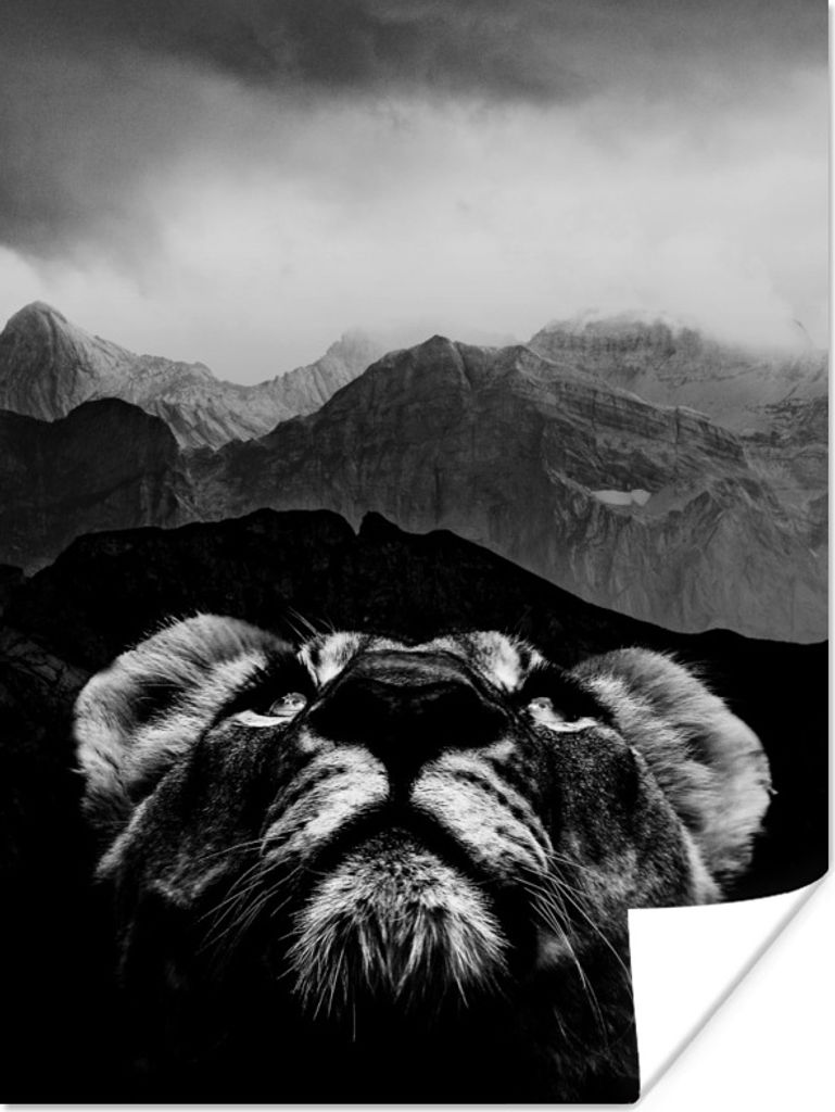 MuchoWow Poster Tiger Blick nach oben mit Bergen im Hintergrund - schwarz und weiß 120x160 cm - Wandbilder