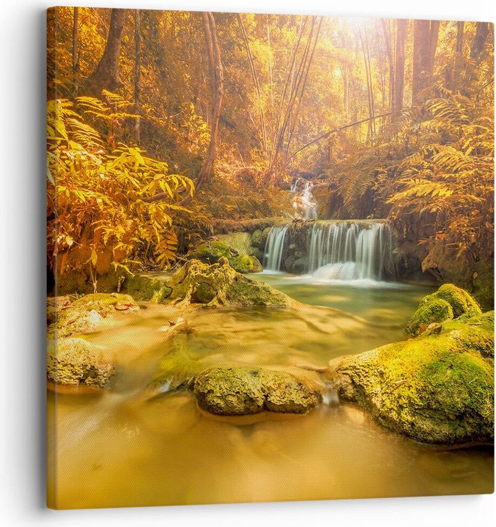 Bild auf Leinwand - Leinwandbild - Wald Bach Tropen Natur - 30x30cm - Wand Bild - Wanddeko - Leinwanddruck - Bilder - Kunstdruck - Wanddekoration -...