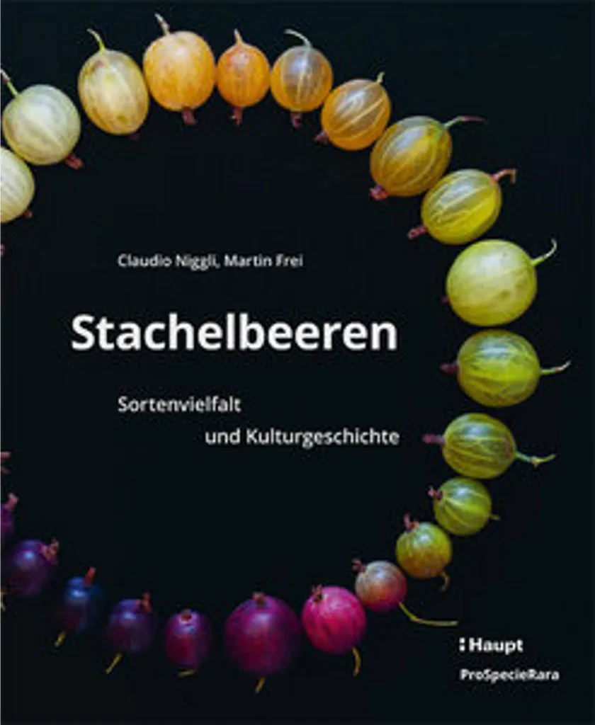 Stachelbeeren pour Pâtisserie - Idéal pour Tartes et Confitures Maison