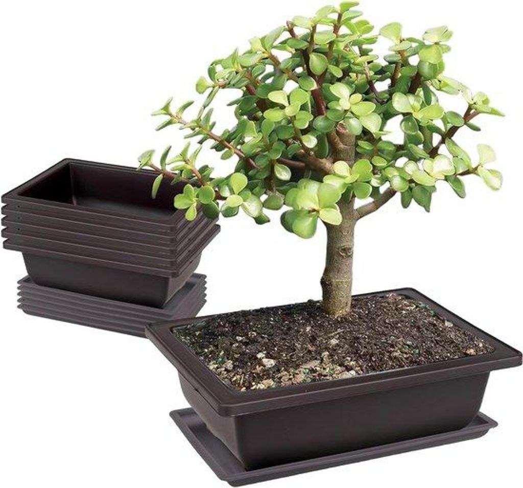 6 Plastikblumentöpfe 23x17x8cm für Garten Büro Wohnung