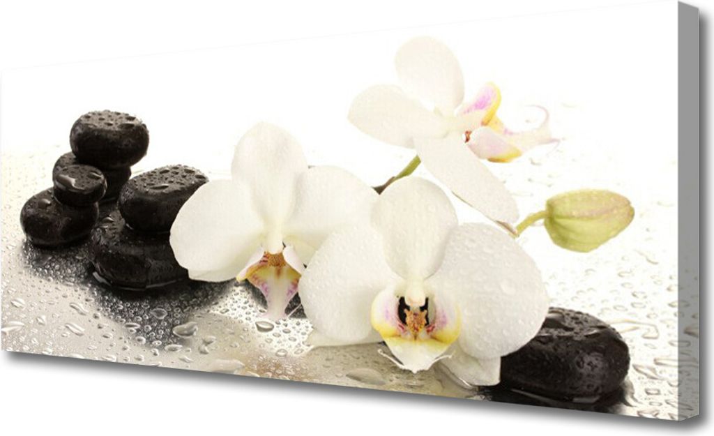 Tulup Leinwand-Bilder 125x50 Wandbild Canvas Kunstdruck Blumen Steine Pflanzen
