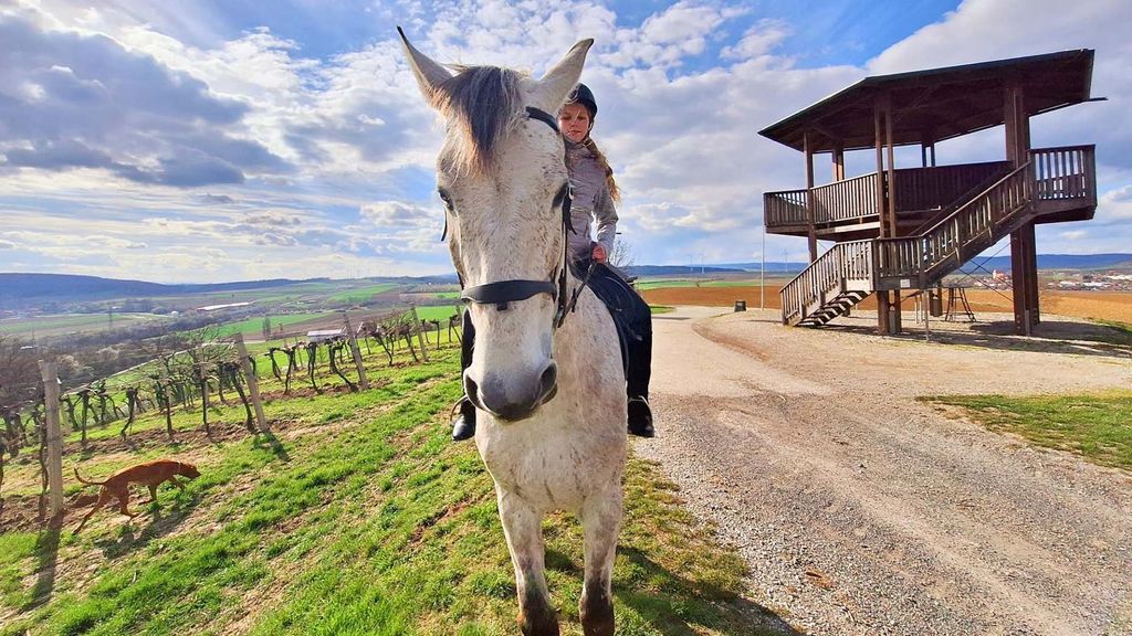 Jochen Schweizer Wanderreiten Kapelln; Erlebnis verschenken oder selbst erleben; Gutschein gültig für 1 Person Gruppengröße: 1-2 Personen