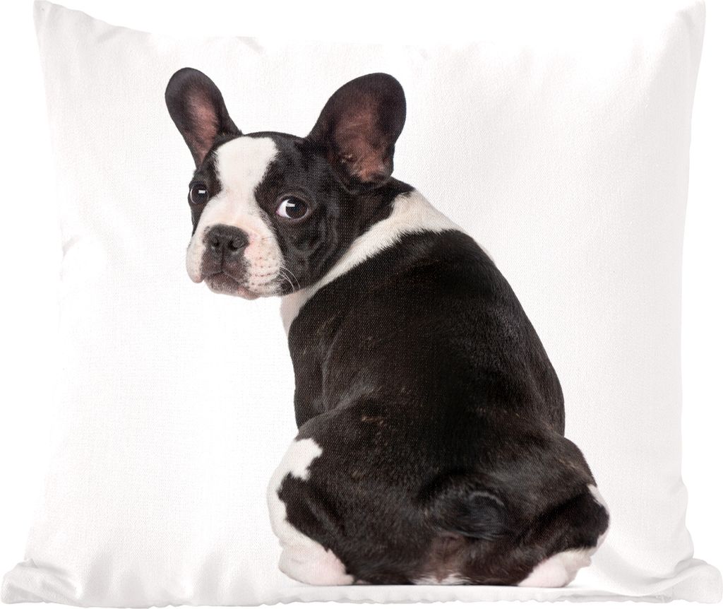 MuchoWow Zierkissen Sofakissen Wohnzimmer Dekokissen 40x40 cm Französische Bulldogge Welpe blickt zurück - Sofakissenbezüge - ohne füllung