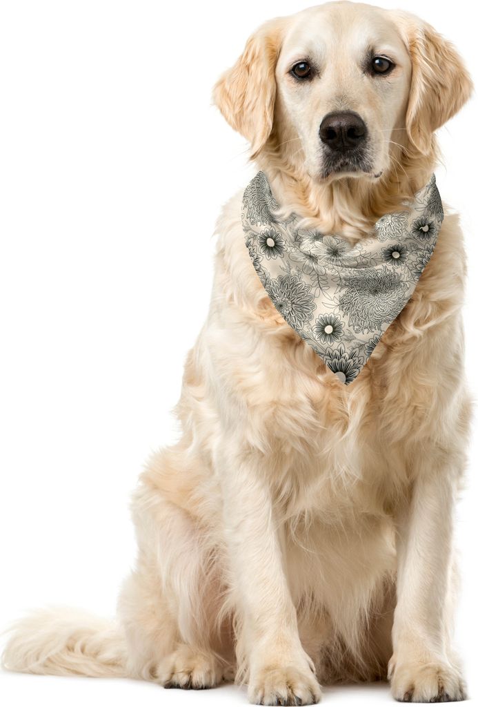 ABAKUHAUS Dahlie Haustier Bandana, Vintage Garden Design, 40x40 cm, schwarz Beige