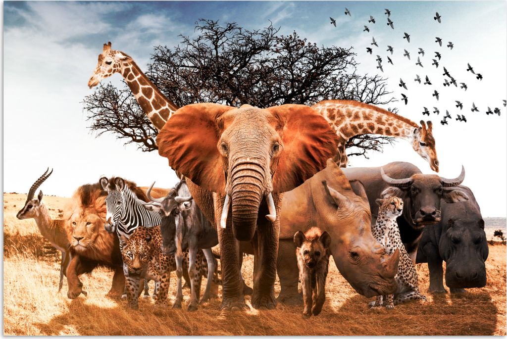 MuchoWow Poster Tiere - Giraffe - Elefant 60x40 cm - Schlafzimmerdekoration