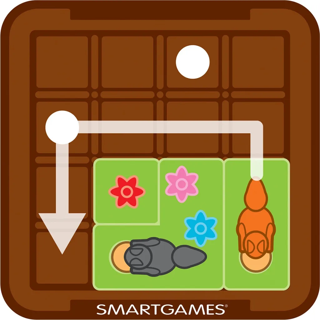 Smart Games Les écureuils attaquent avec 60 défis et casse-têtes