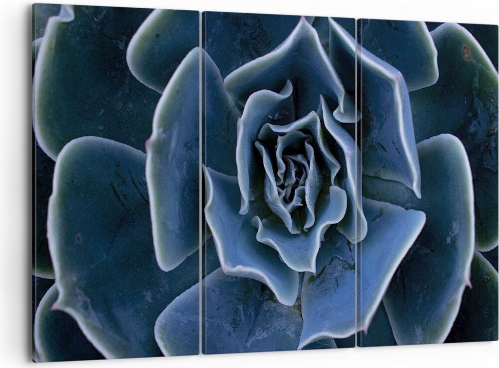 Bild auf Leinwand - Leinwandbild - 3 Teile - Blau Kaktus Blume - 105x70cm - Wand Bild - Wanddeko - Wandbilder - Leinwanddruck - Bilder - Wanddekora...