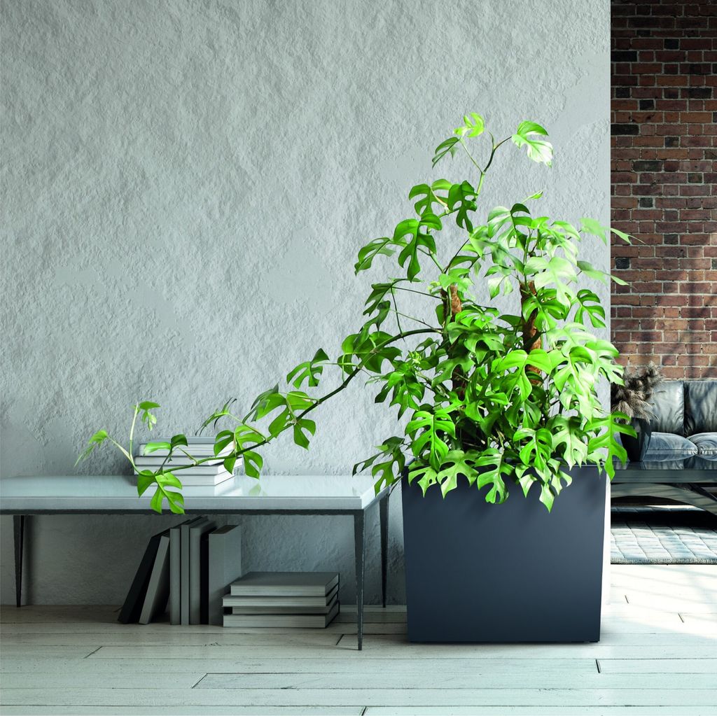 Blumenkasten Blumentopf Balkonkasten Einsatz 58x18x50 cm Produktbild 8