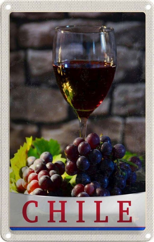 vianmo Blechschild 18x12 cm Chile Wein Trauben Tradition Bildmotiv Reisemotiv Abenteuer Reisen
