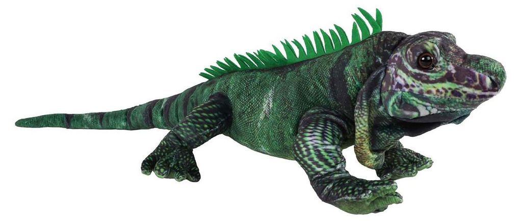 Jungle Expedition Leguaan Knuffel Pluche, 50cm Image du produit 