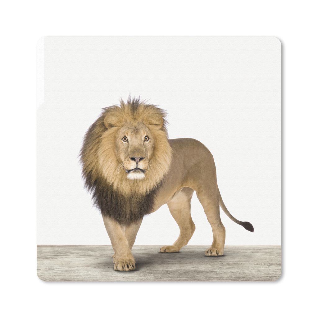 MuchoWow Mauspad Mousepad Tiere - Löwe - Weiß 20x20 cm - Mousepads - Maus Mat - Pad - Mausunterlage - Desk Mat - Bureauartikeln