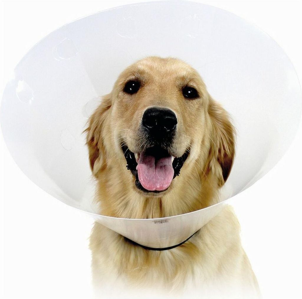 Hunde-Halskrause KVP Check Durchsichtig (43-57 cm)