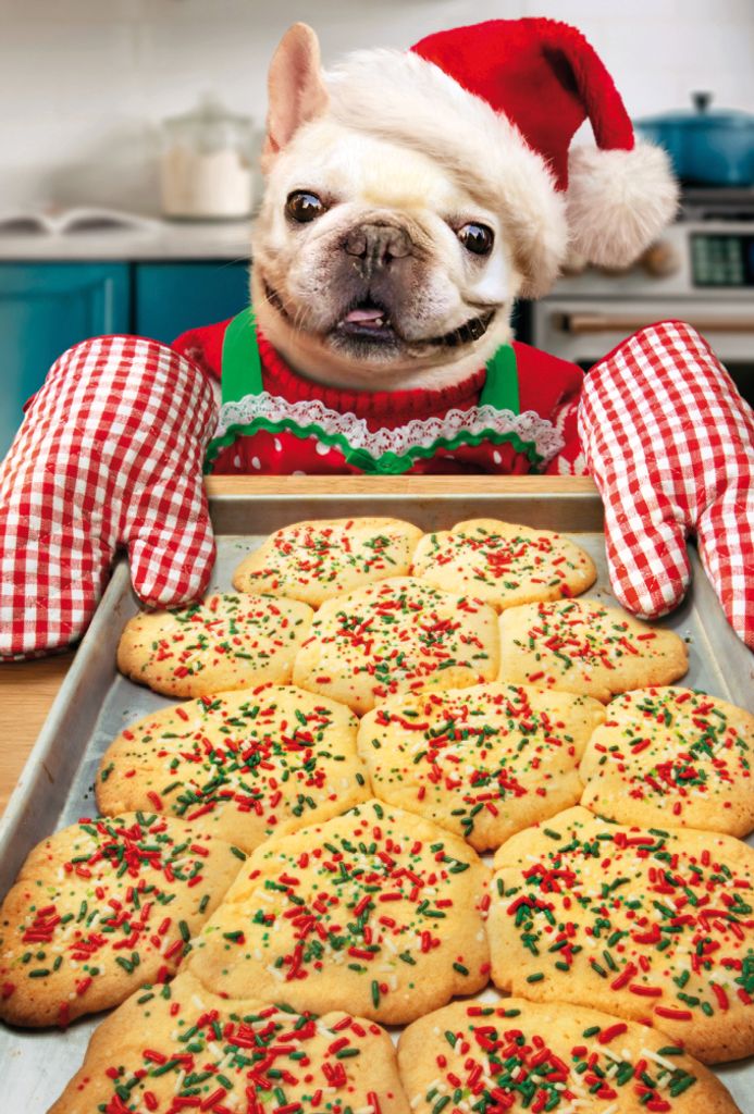 Weihnachten unverpackte Weihnachtskarten mit Briefumschlag Plätzchen backen Bulldogge