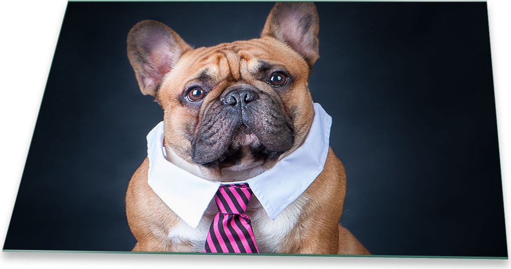 Herdabdeckplatte Glaskeramik 1 Teilig 80x52 Hund Braun Abdeckung Glas Spritzschutz