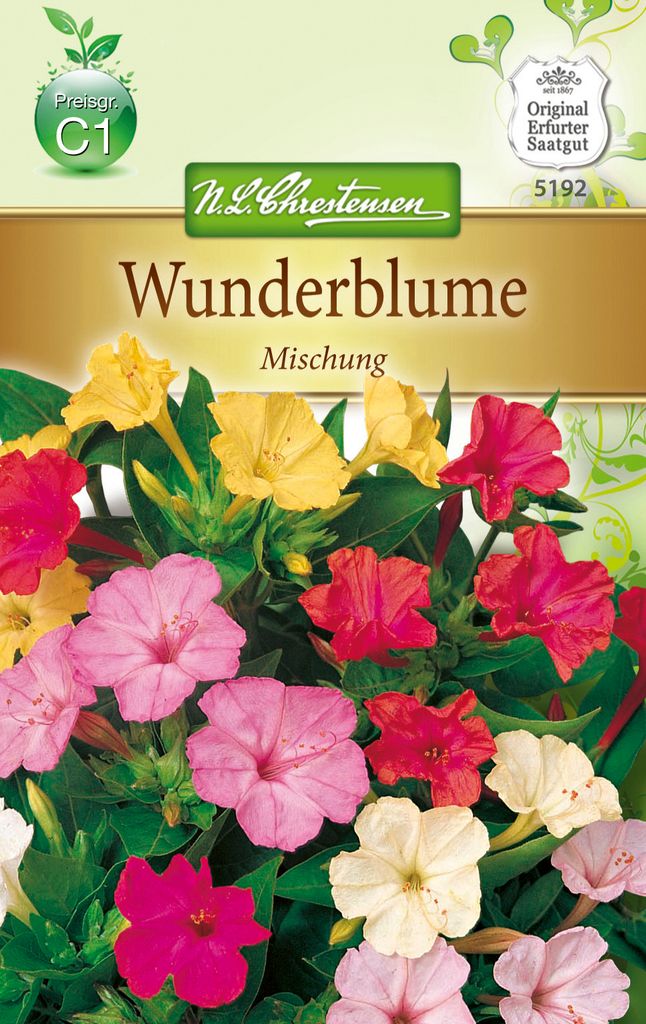 Wunderblume Mix | Blumensamen von N.L. Chrestensen Produktbild 