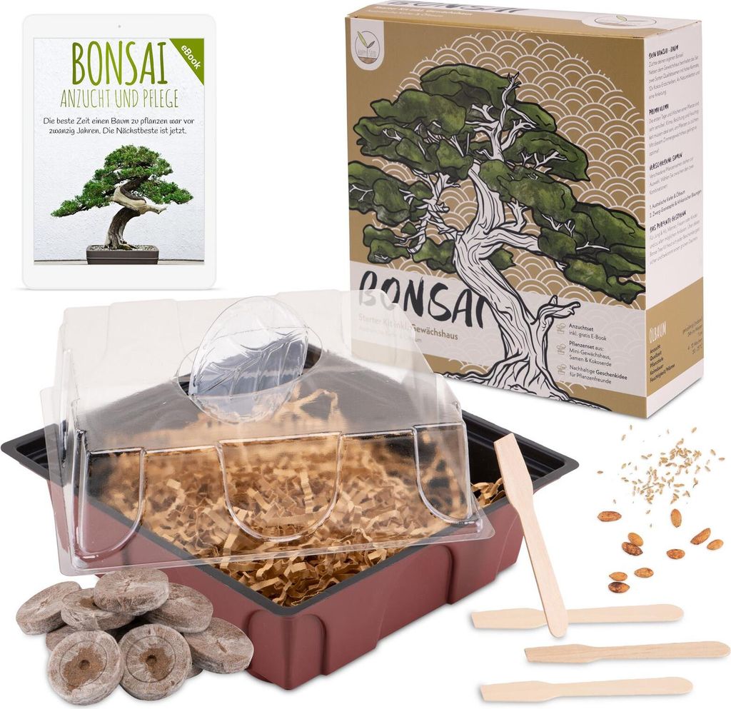 Bonsai Starter Kit inkl. GRATIS eBook & Gewächshaus (Australische Kiefer + Ölbaum)