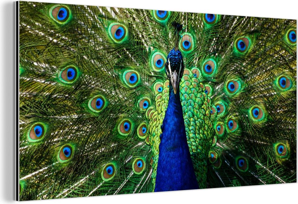 MuchoWow Wanddekoration Metall Metallbild Wandkunst 120x60 cm Pfau - Federn - Augen - Blau MuchoWow Aluminium Gemälde - Metalbilder
