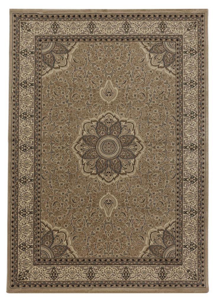 Teppium Tapis Oriental 300x400 cm Beige Poils Courts Image du produit 