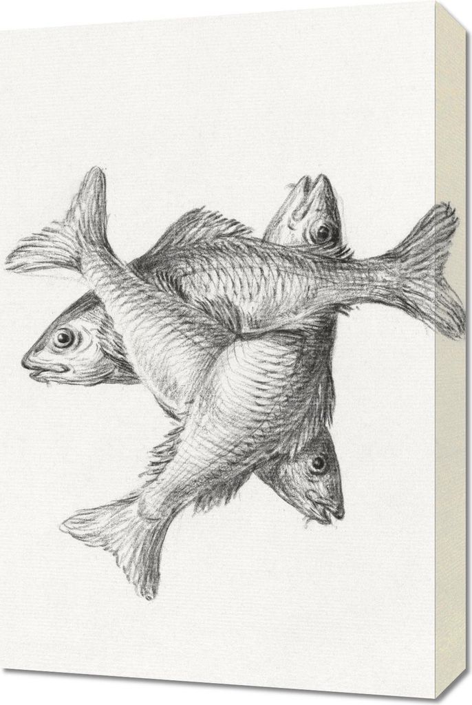 Bild 40x60cm Drei Fische, Jean Bernard Vintage für das Wohnzimmer