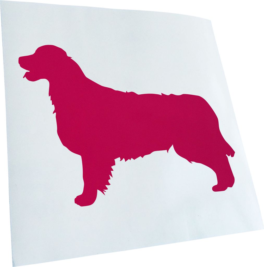 Kiwistar - Autoaufkleber - Golden Retriever Hunderasse Heckscheibenaufkleber - Aufkleber für Auto Kfz Fahrrad, LKW, Truck Mofa