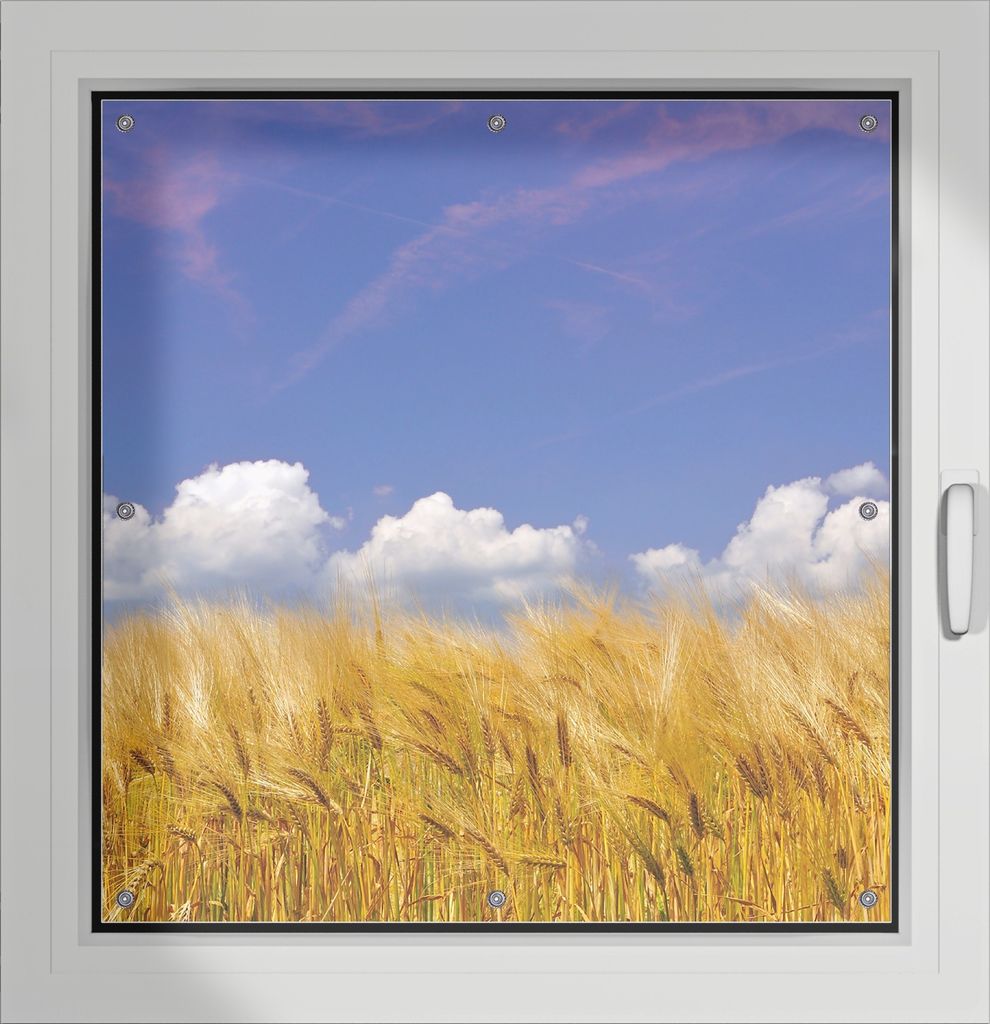 Wallario Lichtschutzbild, Dekorativer Sichtschutz Sonnenschutz 96 x 100 cm mit Motiv: Kornfeld unter blauem Himmel - Verdunklung ohne Bohren