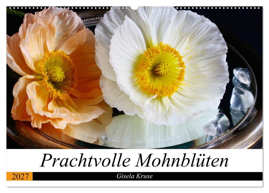 Prachtvolle Mohnblüten (Wandkalender 2027 DIN A2 quer), CALVENDO Monatskalender