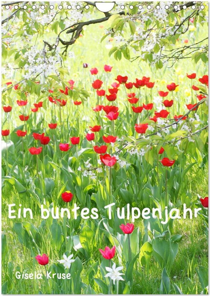 Ein buntes Tulpenjahr (Wandkalender 2026 DIN A4 hoch), CALVENDO Monatskalender