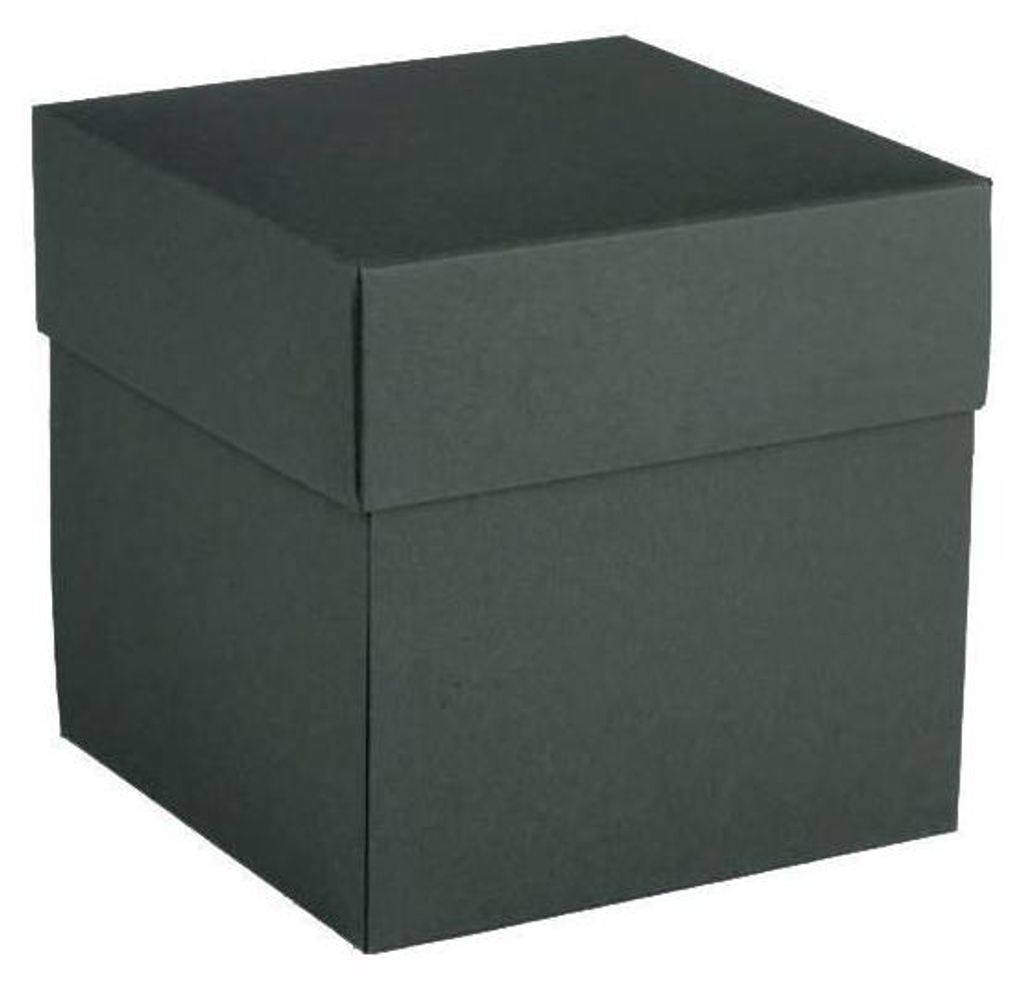Explosionsbox grün 10x10x10 - RzP Produktbild 