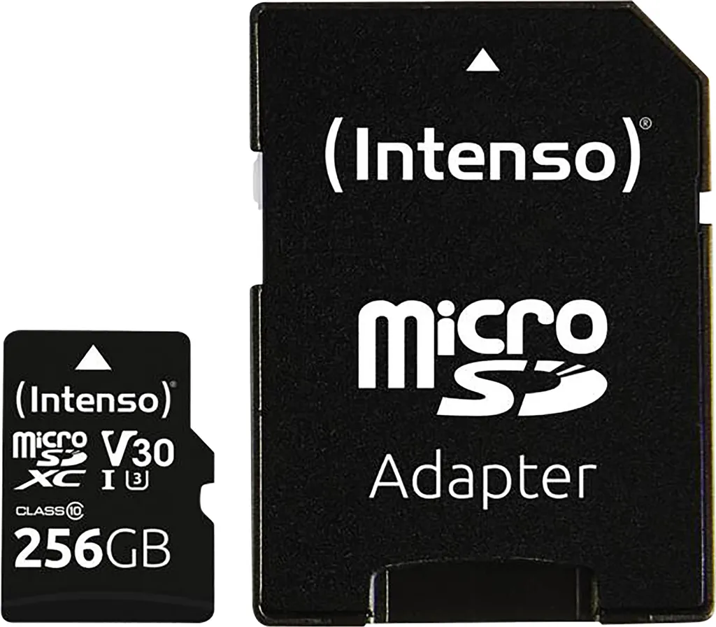 Intenso 256GB Micro SDXC Professional: La Tua Libertà Creativa in 4K