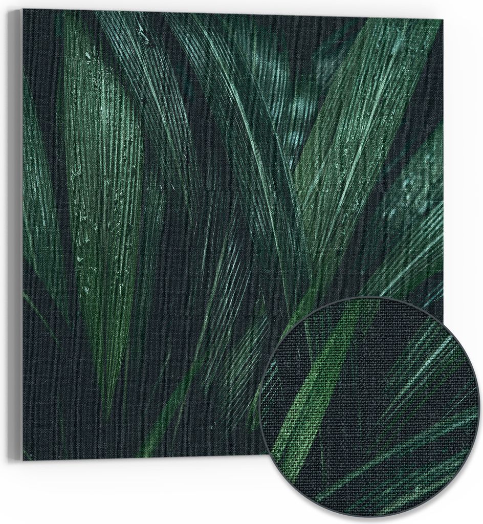 DEQORI Hybrid Leinwand Bild 50x50 cm 'Tropisches Flüstern' Wandbild Glas flach modern