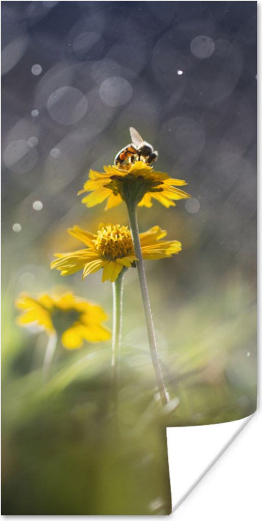 MuchoWow Poster Blumen - Biene - Regen 40x80 cm - Dekoration