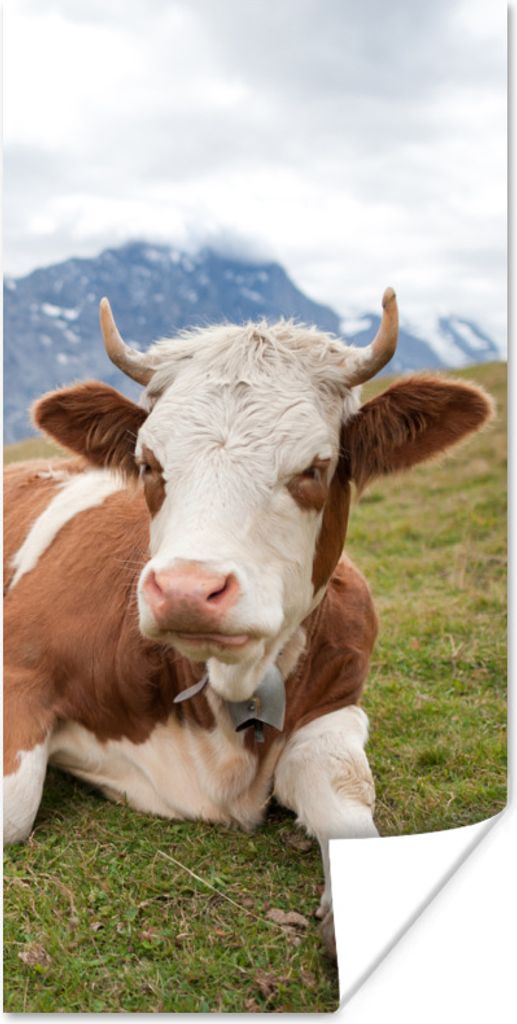MuchoWow Poster Kuh - Wiese - Alpen 40x80 cm - Dekoration