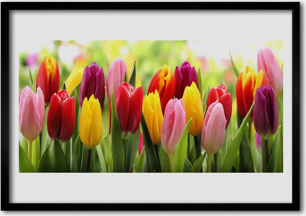 Bild 100x70 MDF-Rahmen Wandkunst Tulpen Blumen Natur