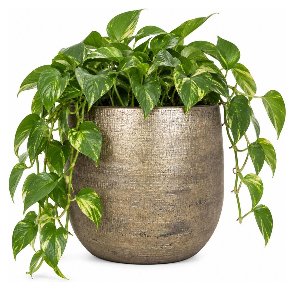 Floran Blumentopf Mira - goldfarben - Keramik - 35 cm Produktbild 