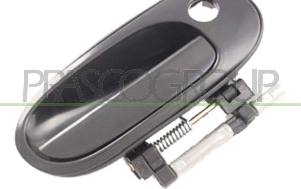 PRASCO DS4228001 Türgriff Vorne Rechts für NISSAN ALMERA II Hatchback (N16) Schwarz