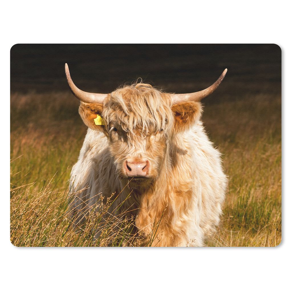 MuchoWow Mauspad Mousepad Schottische Highlander - Licht - Gras - Tiere 23x19 cm - Mousepads - Maus Mat - Pad - Mausunterlage - Schreibtischunter...