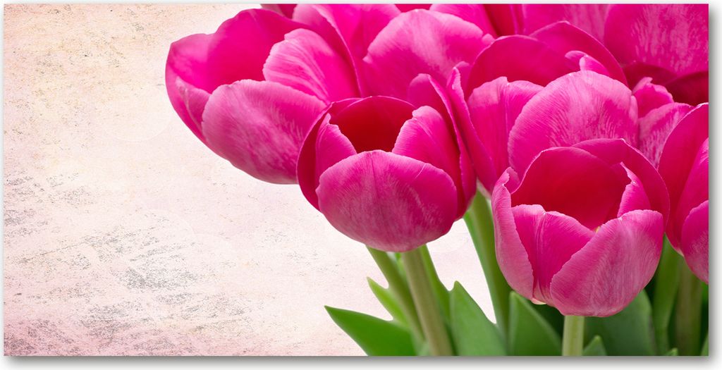 Tulup Küchenrückwand Spritzschutz aus Glas -100x50 -Spritzschutz auf gehärtetes GlasDeko Blumen & Pflanzen Rosa Tulpen