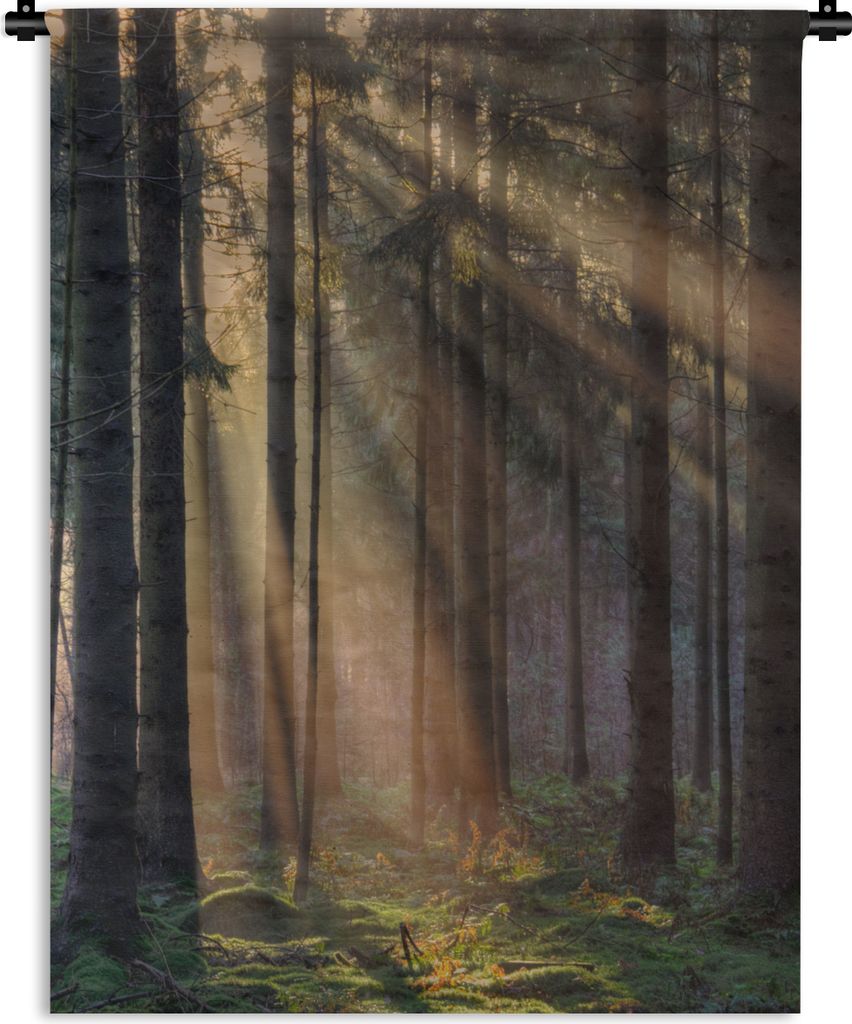 MuchoWow Wandteppich Wandbehang Bäume - Wald - Sonne - Pflanzen 150x200 cm Tapisserie Dekoration Wandtuch - Wandaufhängung - Moderner