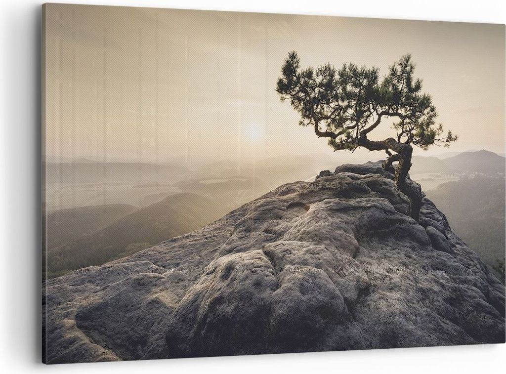 Bild auf Leinwand - Leinwandbild - Einteilig - Alt Kiefer Berge - 120x80cm - Wand Bild - Wanddeko - Wandbilder - Leinwanddruck - Bilder - Wanddekor...