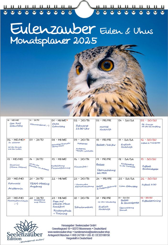 Eulenzauber Eulen und Uhus Planer DIN A4 Kalender für 2025 - Seelenzauber