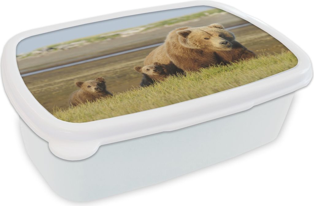 KitchenYeah Lunchbox Brotzeit Brotdose 17x11 cm Bär - Grizzly - Jungtiere Kinder Brotzeitdose - Lunch Box - Kinder - Sandwich-Box - Schulbox - L...