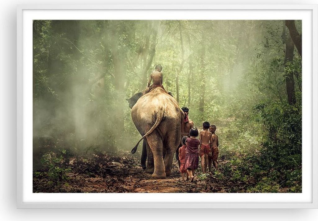 Gerahmtes Poster - Weißer Rahmen - Elefant Dschungel Nebel - 91,5x61 cm - Wand Bild - Wanddeko - Wandbilder - Kunstposter - Wandposter - Bilderrah...